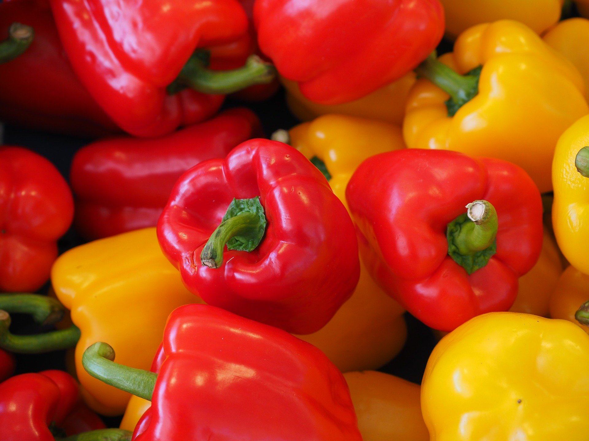 Peperoni: Proprietà, Caratteristiche e Appetitose Ricette